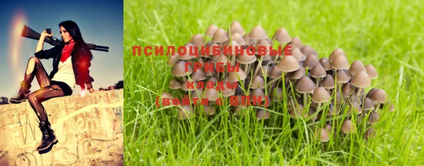 мет Горнозаводск