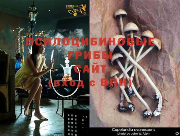 MDMA Premium VHQ Горняк