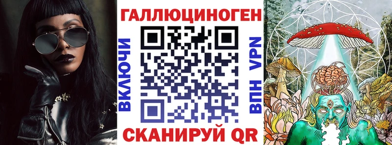 Купить  Кропоткин  Псилоцибиновые грибы Psilocybine cubensis 